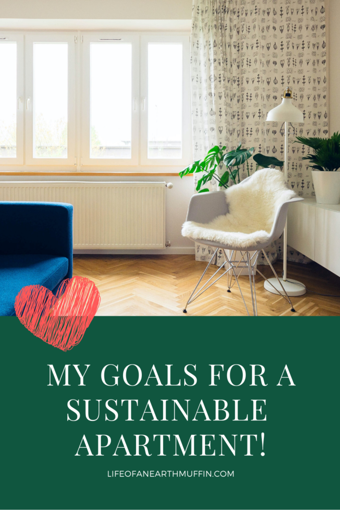A picture of an apartment with the words my goals for a sustainable apartment below it