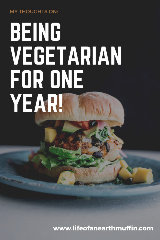 A picture of a veggie burger with the words "My thoughts on being vegetarian for one year" around it
