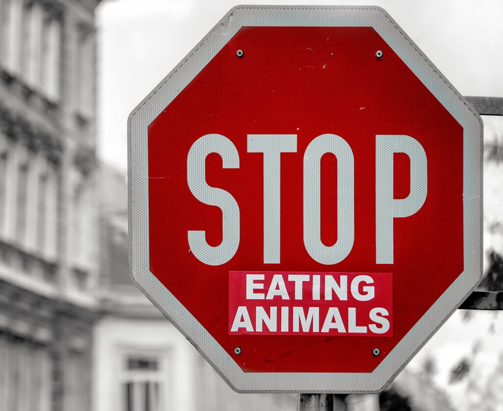 A picture of a stop sign with a Eating Animals sticker underneath
