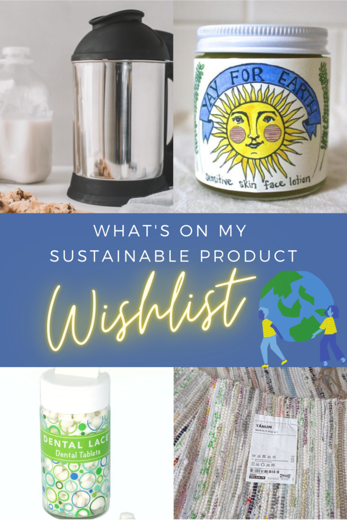 What's on my sustainable product wishlist pinterest pin
