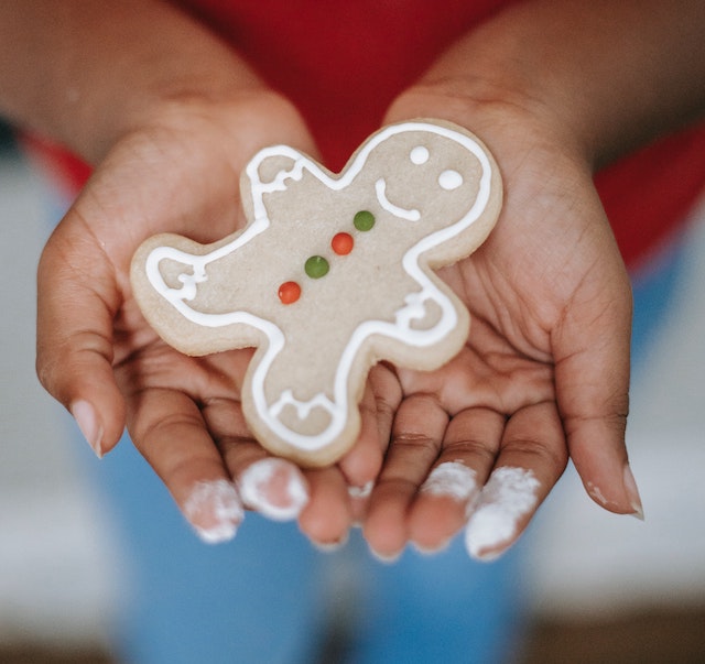 A picture of a gingerbread christmas cookie