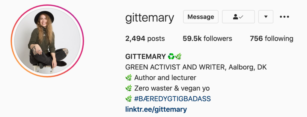 A picture of the Gittemary Instagram page, a sustainable influencer 