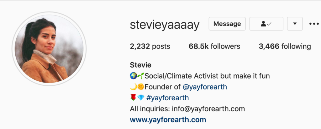 A picture of the Instagram page of Stevieyaaaay, a sustainable influencer