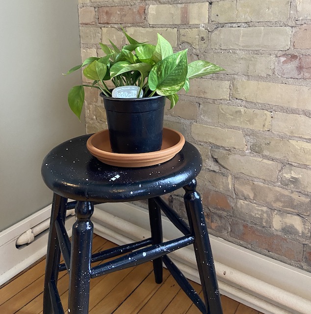A picture of a DIY upcycled stool planter with a plant on top