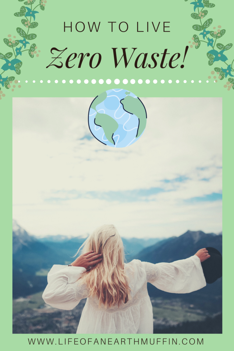 How To Live Zero Waste 101 - My Top Tips! - Life Of An Earth Muffin