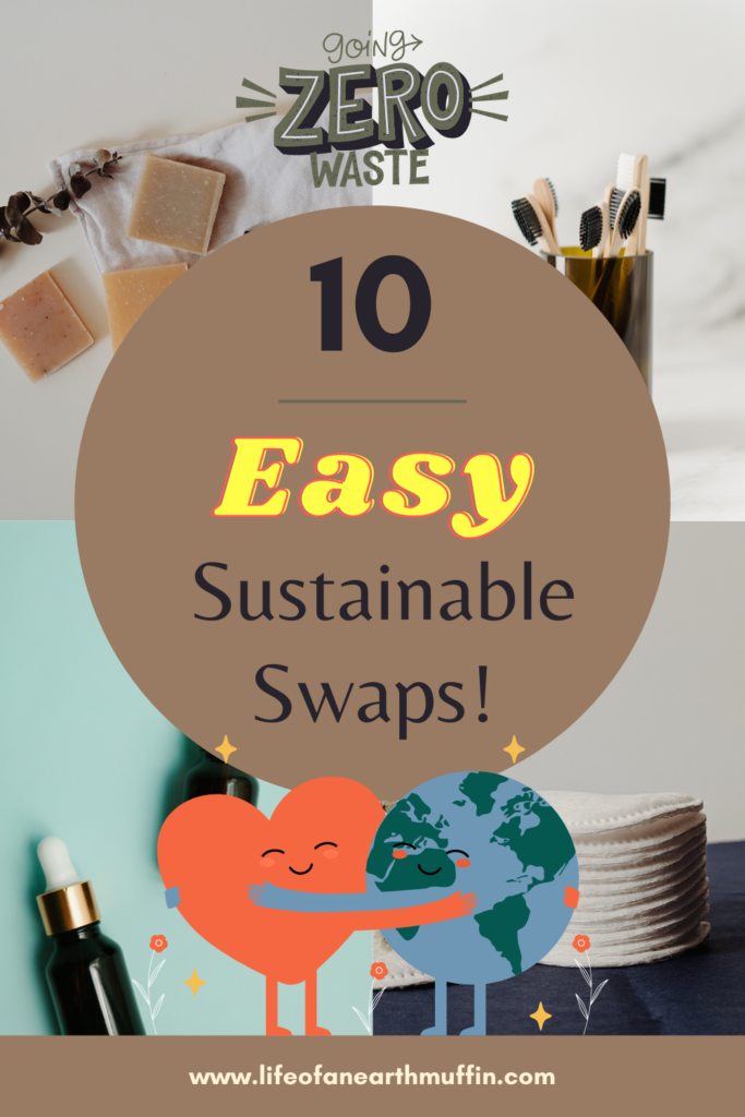 10 easiest sustainable swaps pinterest pin