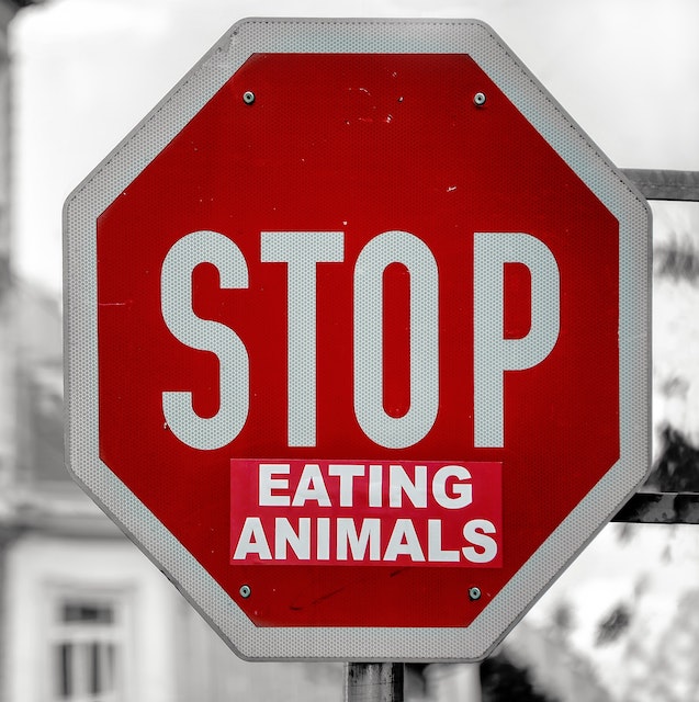A stop sign with the sticker Eating Animals under it 