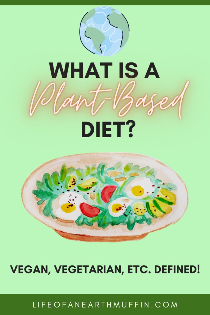 What is a Plant Based Diet pinterest pin