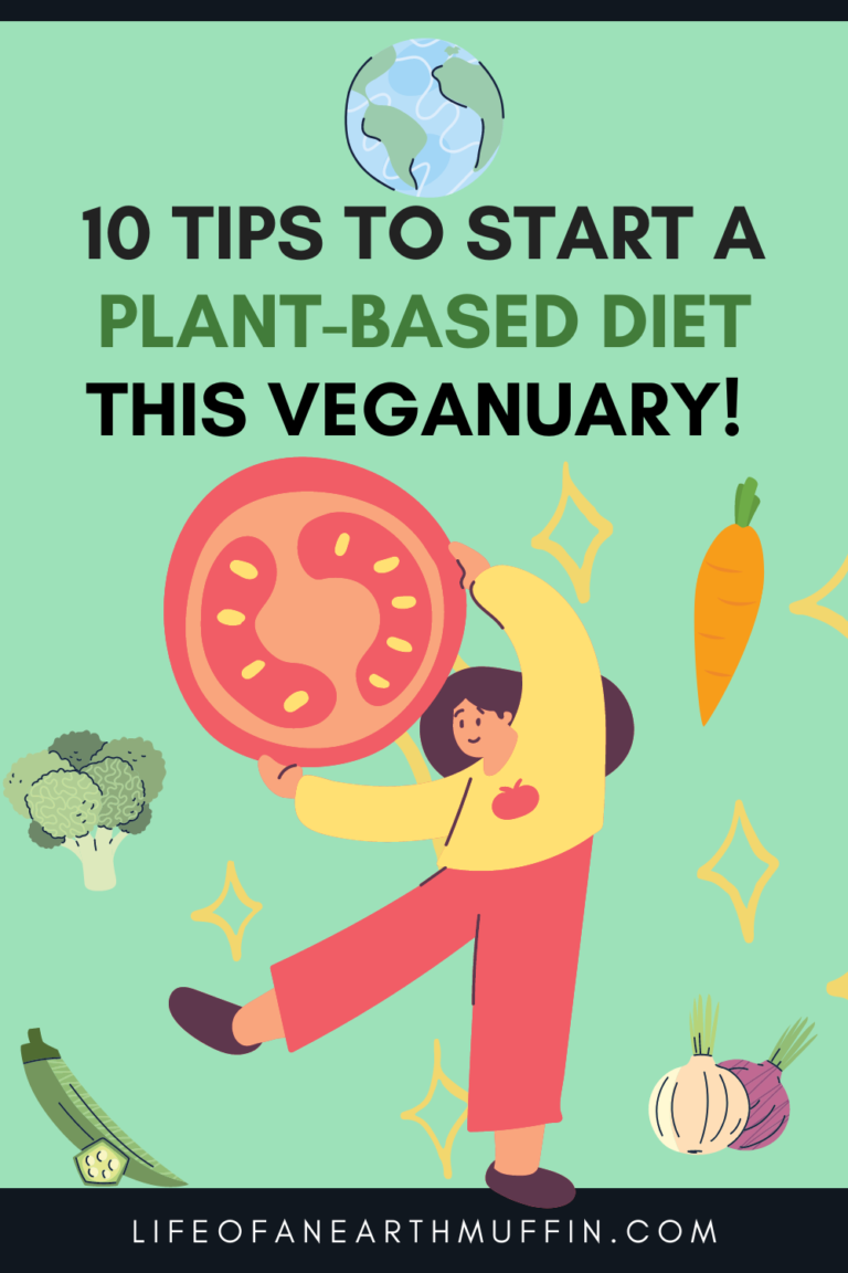 10 Tips On How To Start A Plant Based Diet Life Of An Earth Muffin