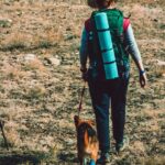 travel-with-dog