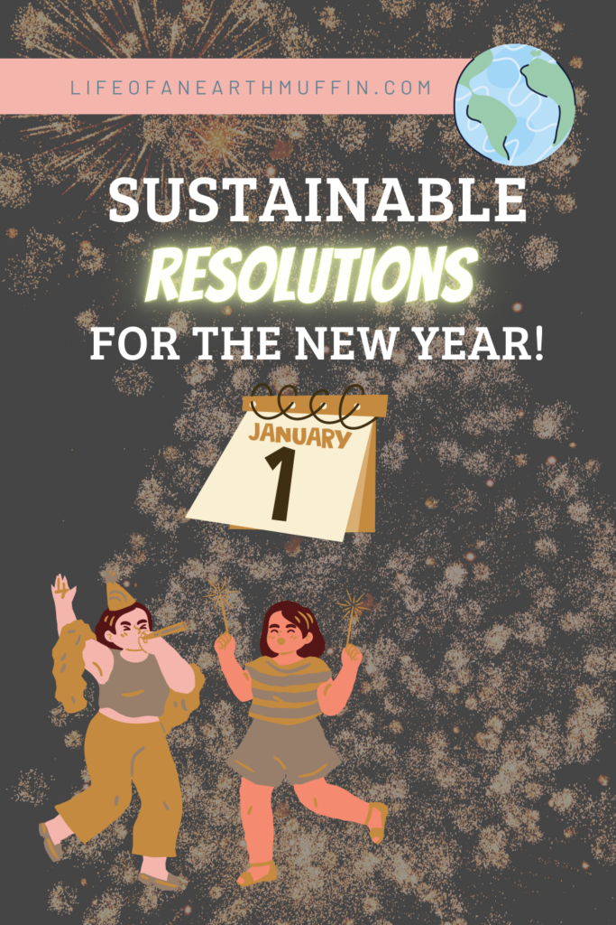 sustainable resolutions for the new year