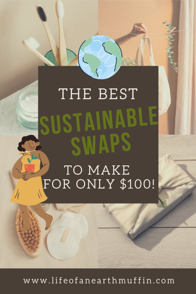 the best sustainable swaps to make for only $100