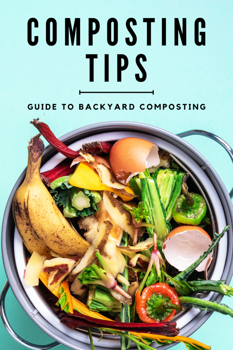 Backyard Composting Tips You Need to Know!