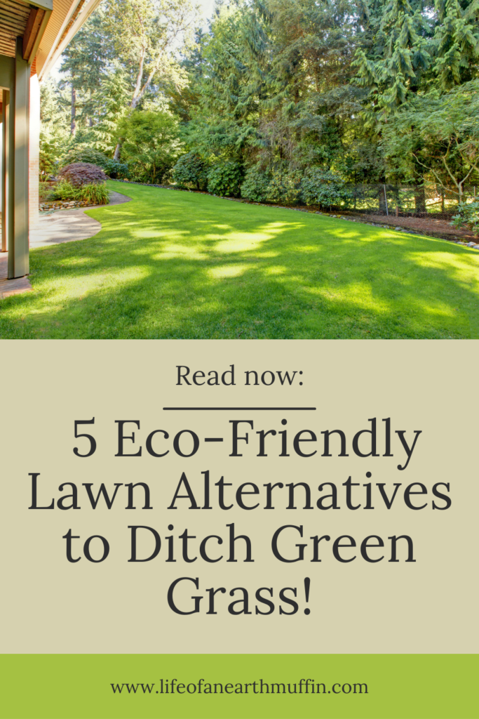 eco-friendly alternatives to green grass lawns