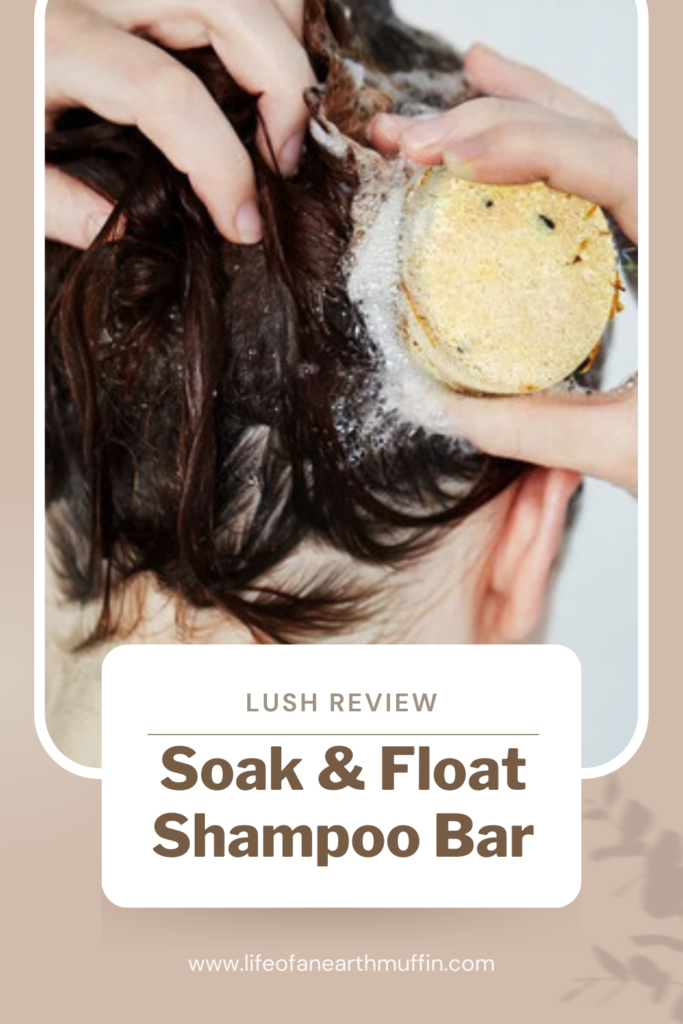 Another Great Shampoo Bar: Soak Review!