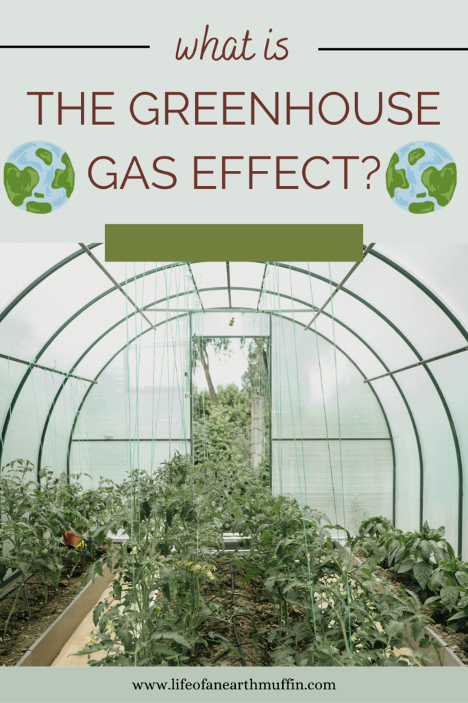 what is the greenhouse gas effect?