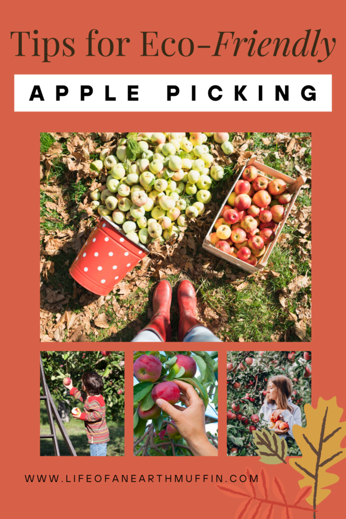 tips for eco-friendly apple picking